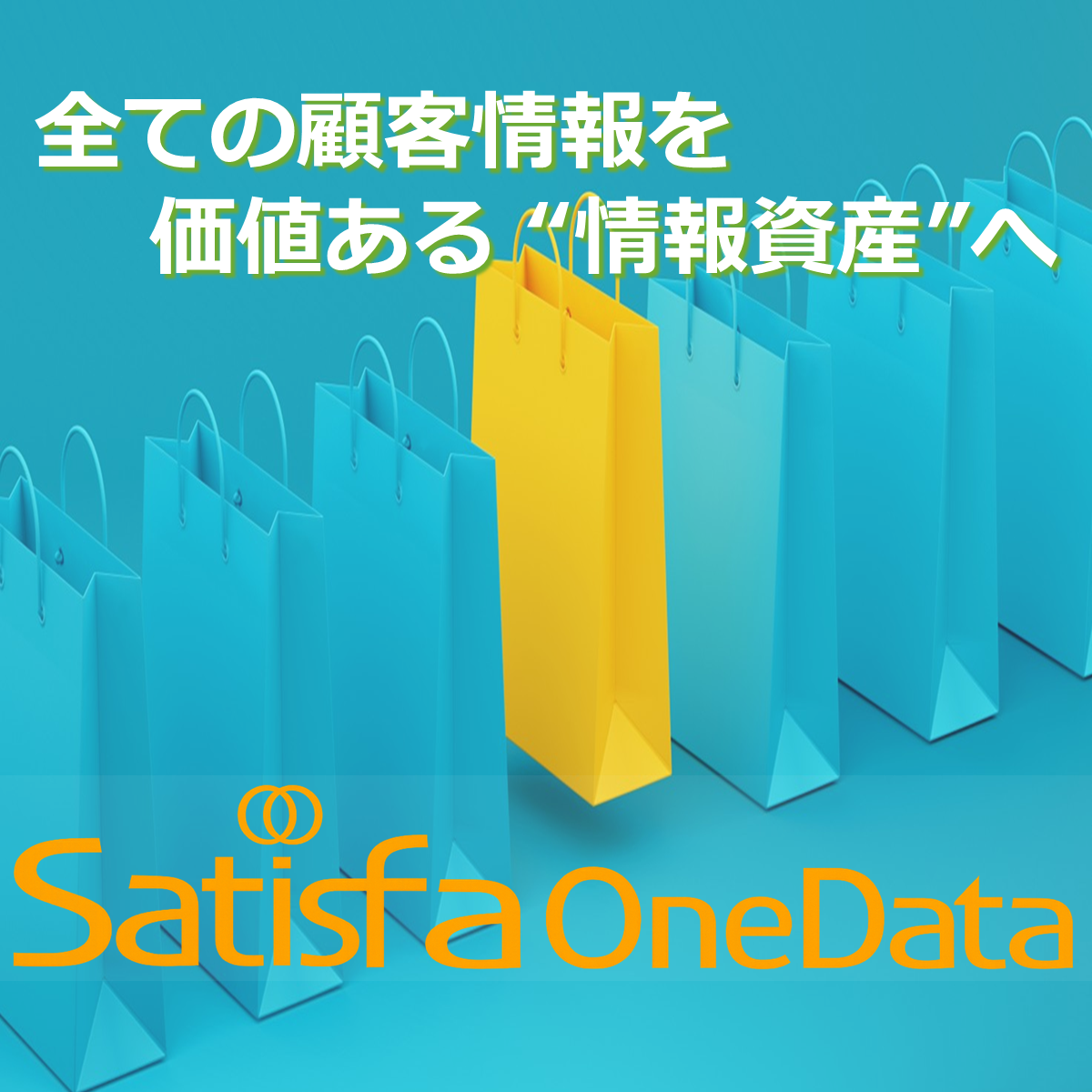 小売業のための顧客情報統合（Customer Asset Management）プラットフォームの詳細ページへ