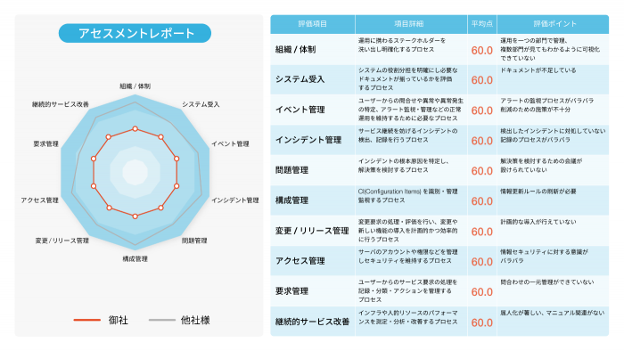 アセスメントレポートの例