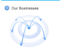 Our Businesses