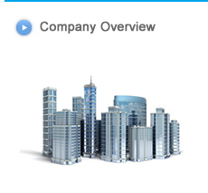 Company Overview